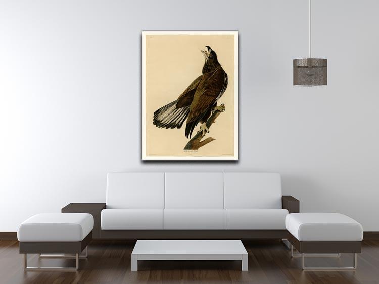 White headed Eagle 2 by Audubon Canvas Print or Poster - Canvas Art Rocks - 4