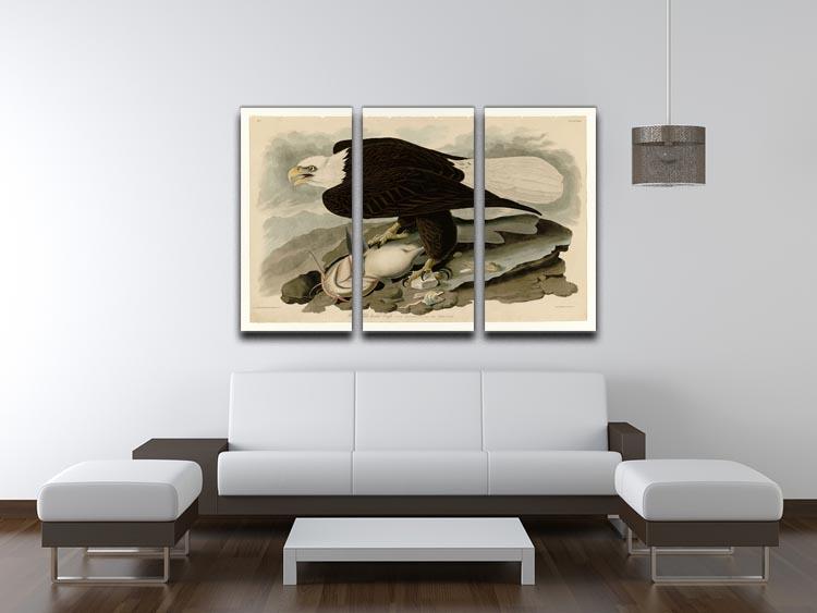 White headed Eagle by Audubon 3 Split Panel Canvas Print - Canvas Art Rocks - 3