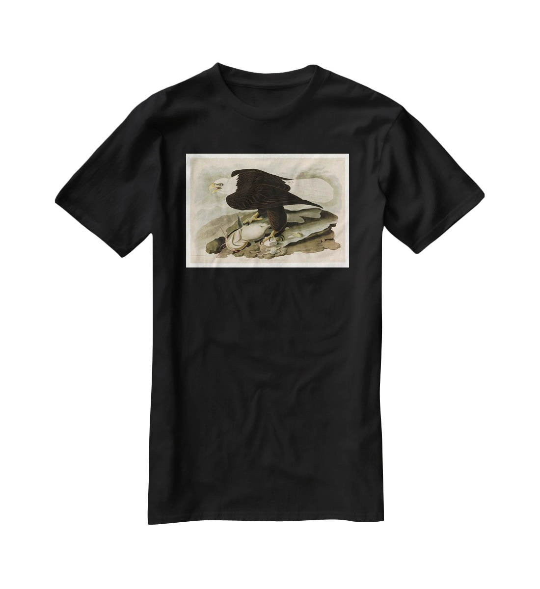 White headed Eagle by Audubon T-Shirt - Canvas Art Rocks - 1