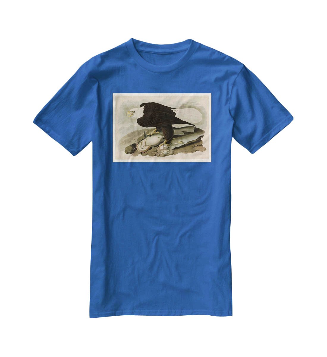 White headed Eagle by Audubon T-Shirt - Canvas Art Rocks - 2