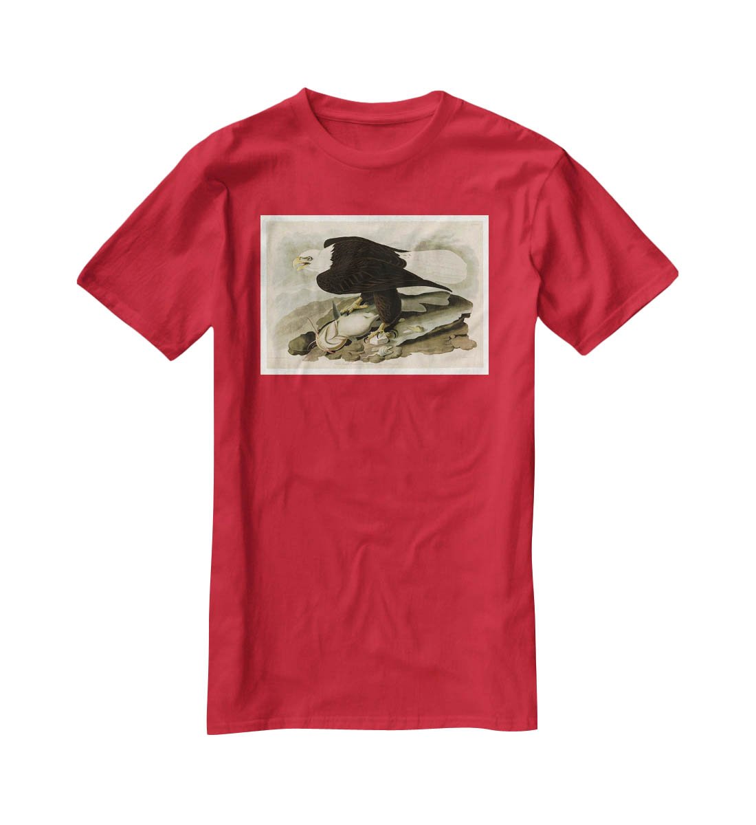 White headed Eagle by Audubon T-Shirt - Canvas Art Rocks - 4