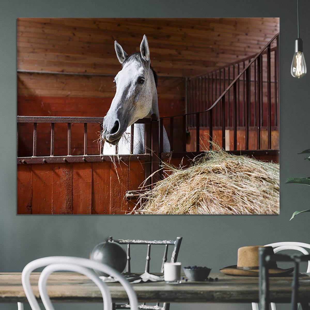 White horse eating hay in the stable Canvas Print or Poster