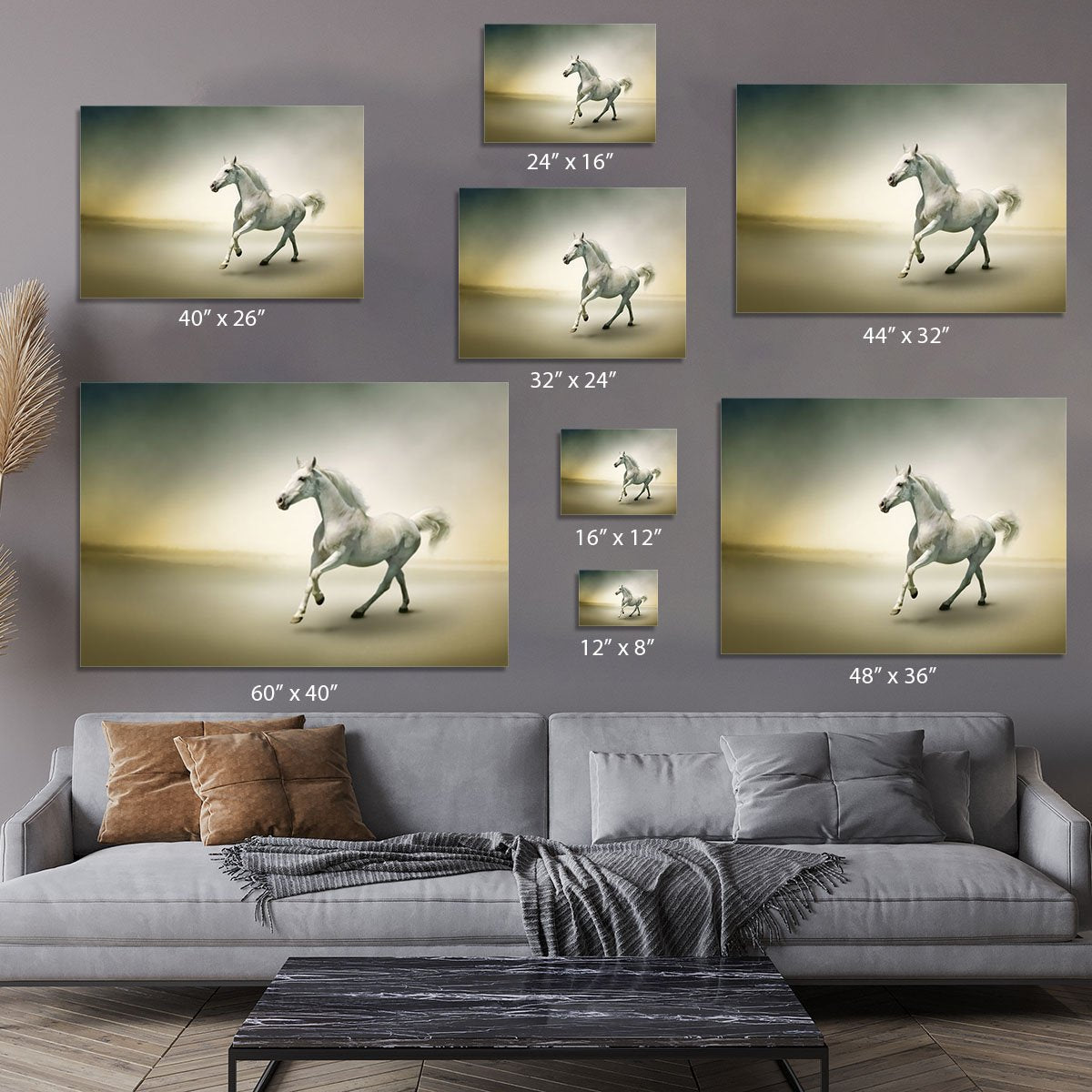 White horse in motion Canvas Print or Poster