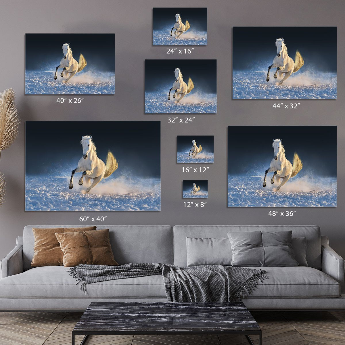 White horse run in snow at sunset Canvas Print or Poster