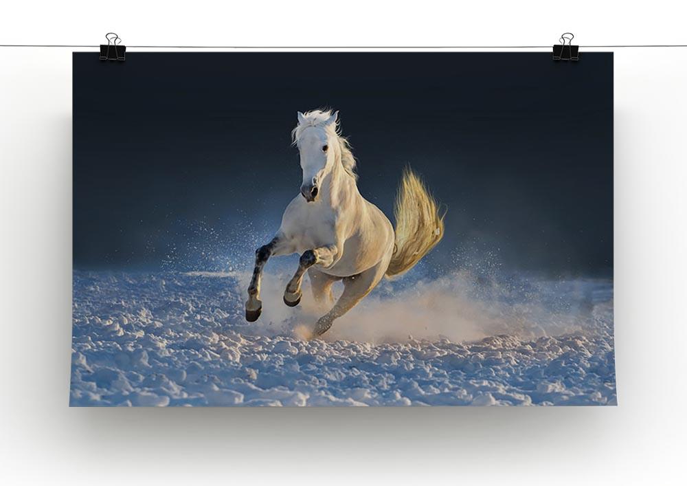 White horse run in snow at sunset Canvas Print or Poster - Canvas Art Rocks - 2