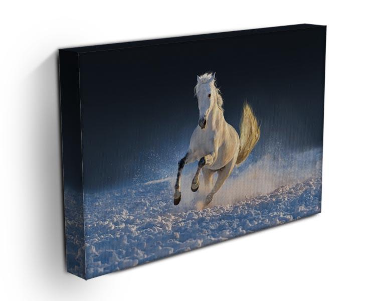 White horse run in snow at sunset Canvas Print or Poster - Canvas Art Rocks - 3
