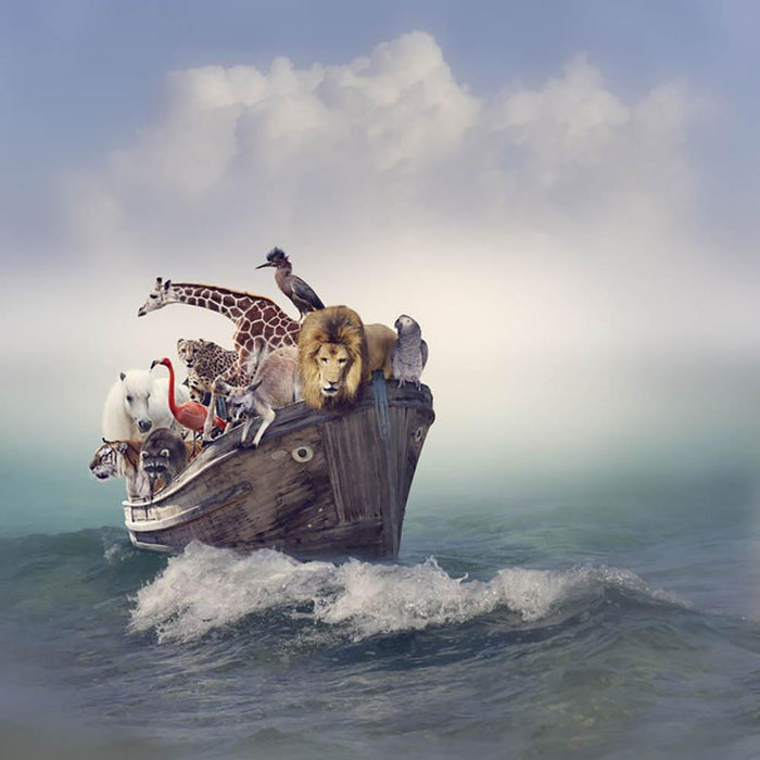Wild Animals and Birds in an Old Boat Wall Mural Wallpaper
