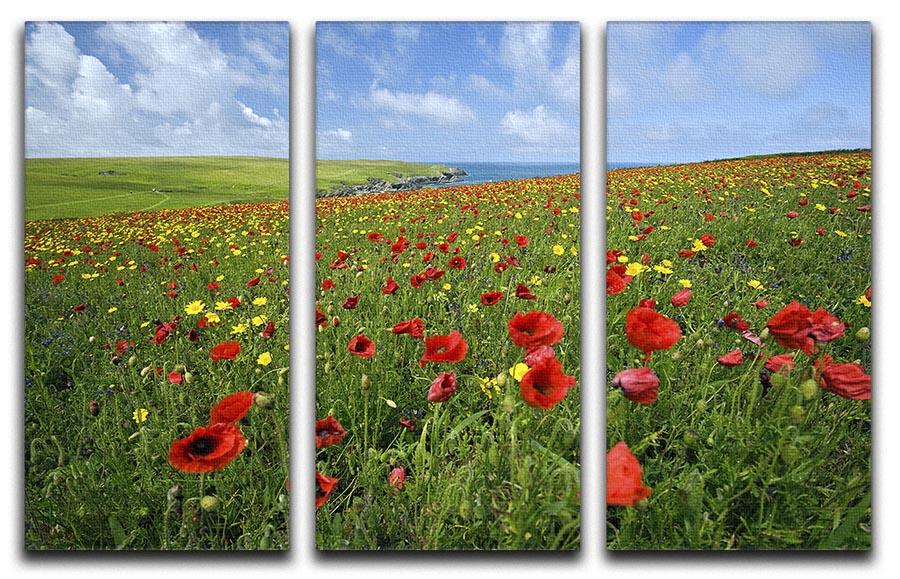 Wild Flower Meadow 3 Split Panel Canvas Print - Canvas Art Rocks - 1
