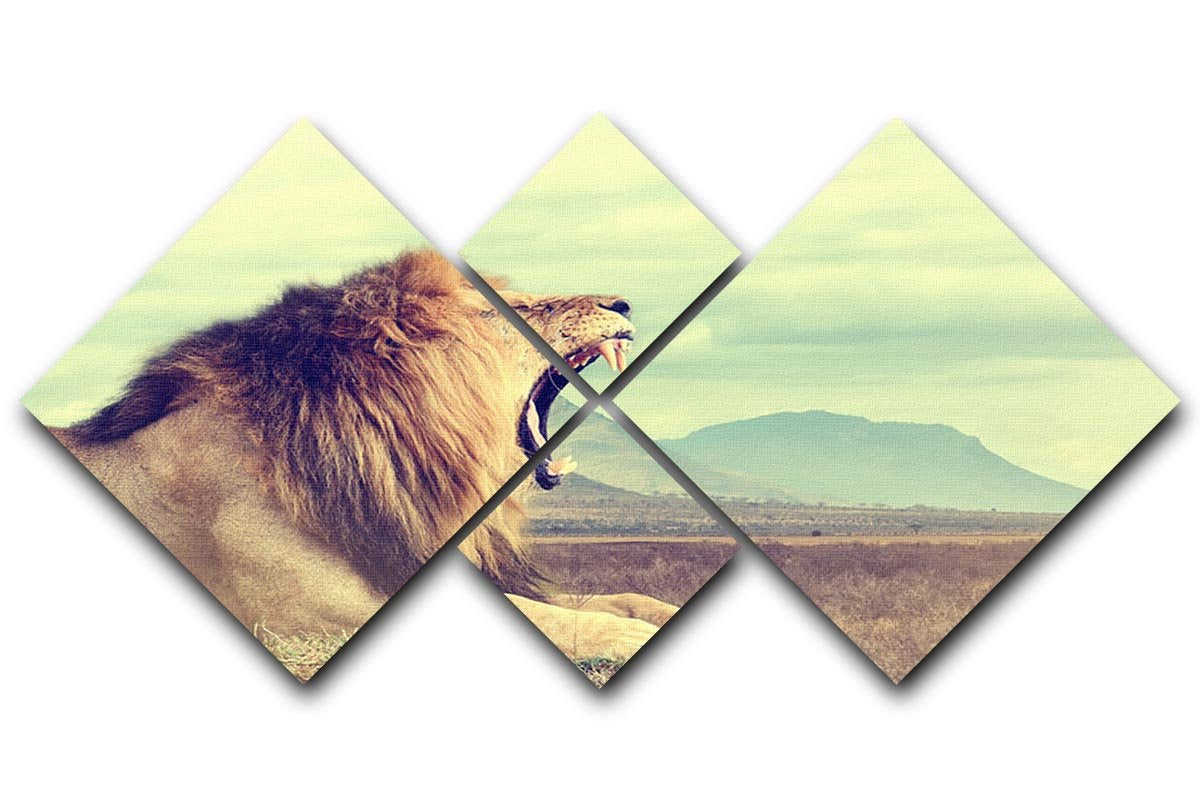 Wild african lion 4 Square Multi Panel Canvas - Canvas Art Rocks - 1