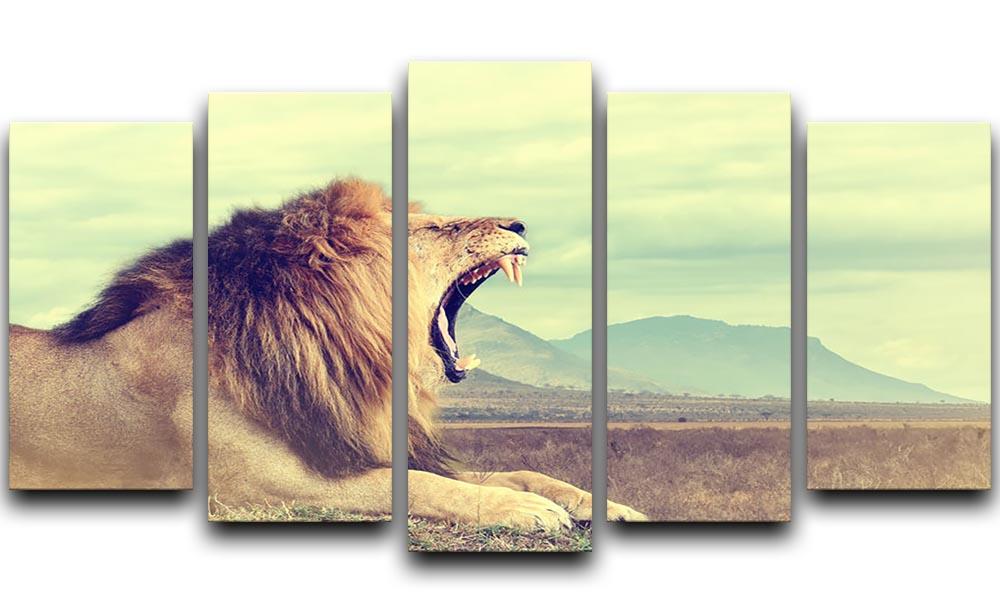 Wild african lion 5 Split Panel Canvas - Canvas Art Rocks - 1