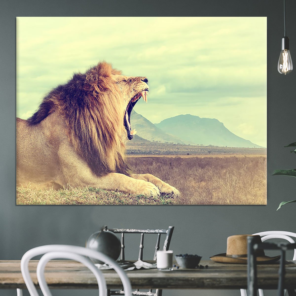 Wild african lion Canvas Print or Poster