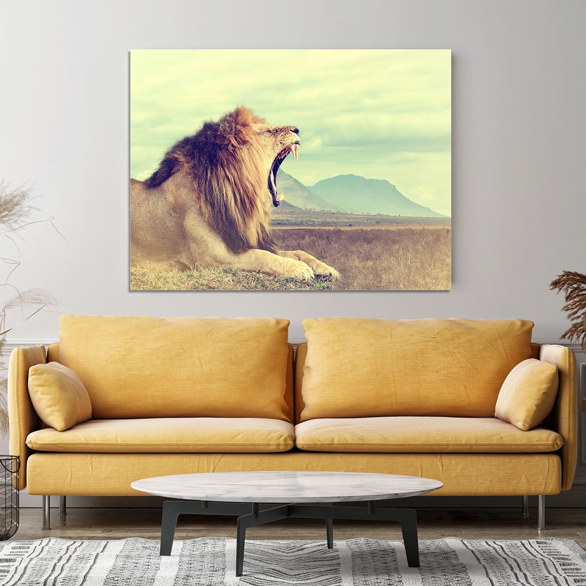 Wild african lion Canvas Print or Poster