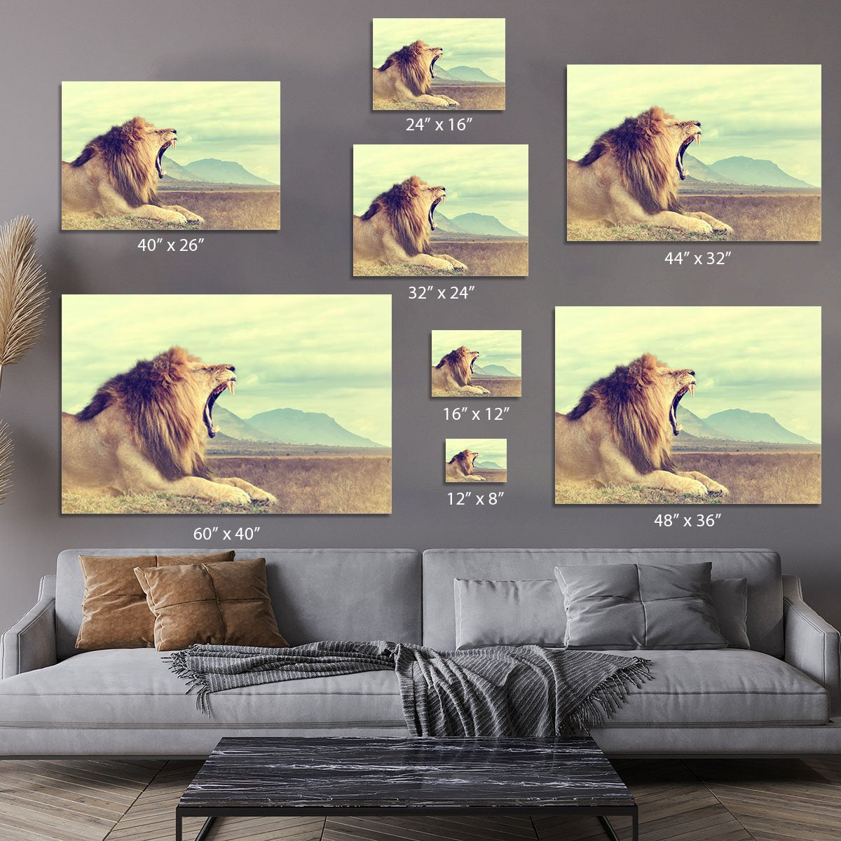 Wild african lion Canvas Print or Poster