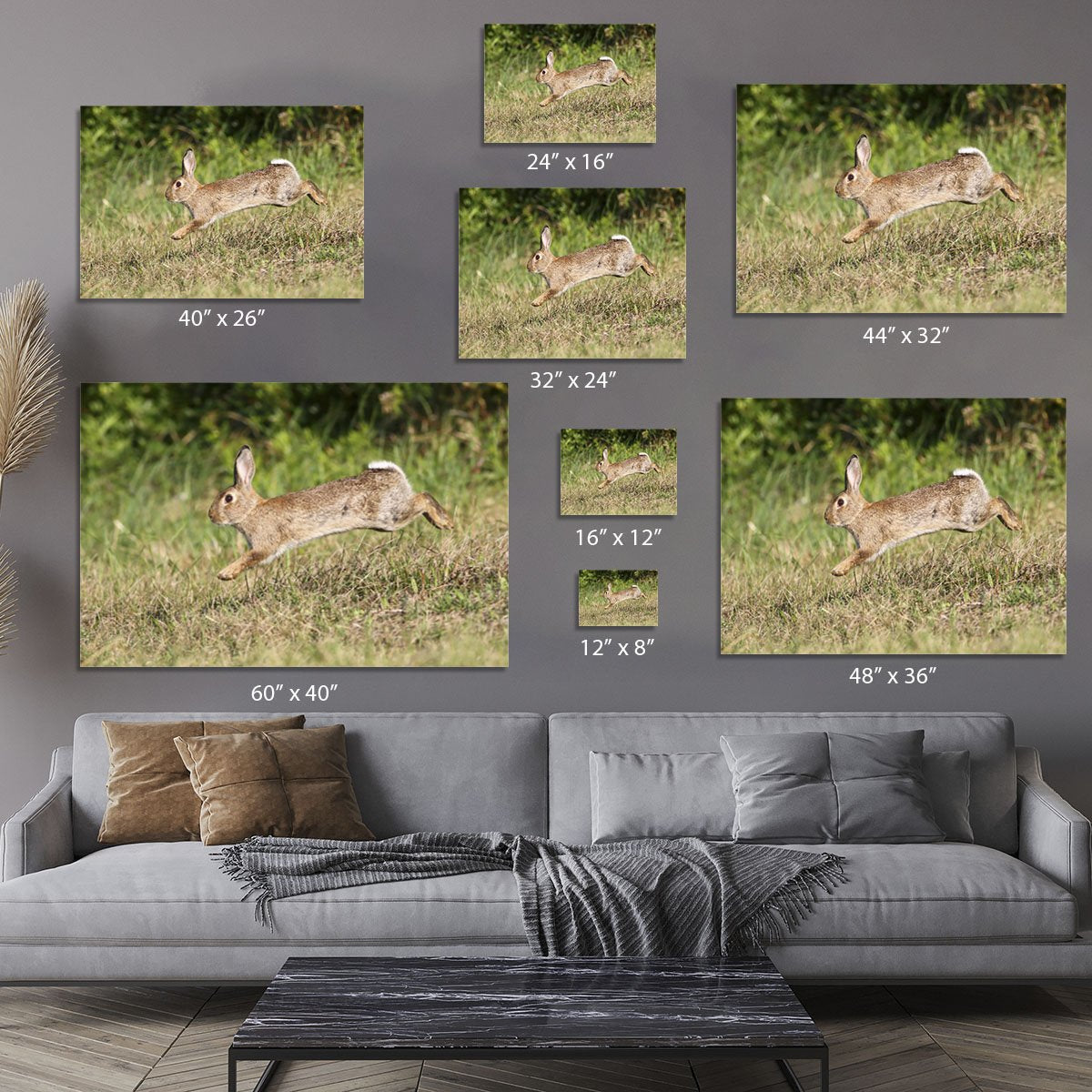 Wild cute rabbit is jumping on meadow Canvas Print or Poster