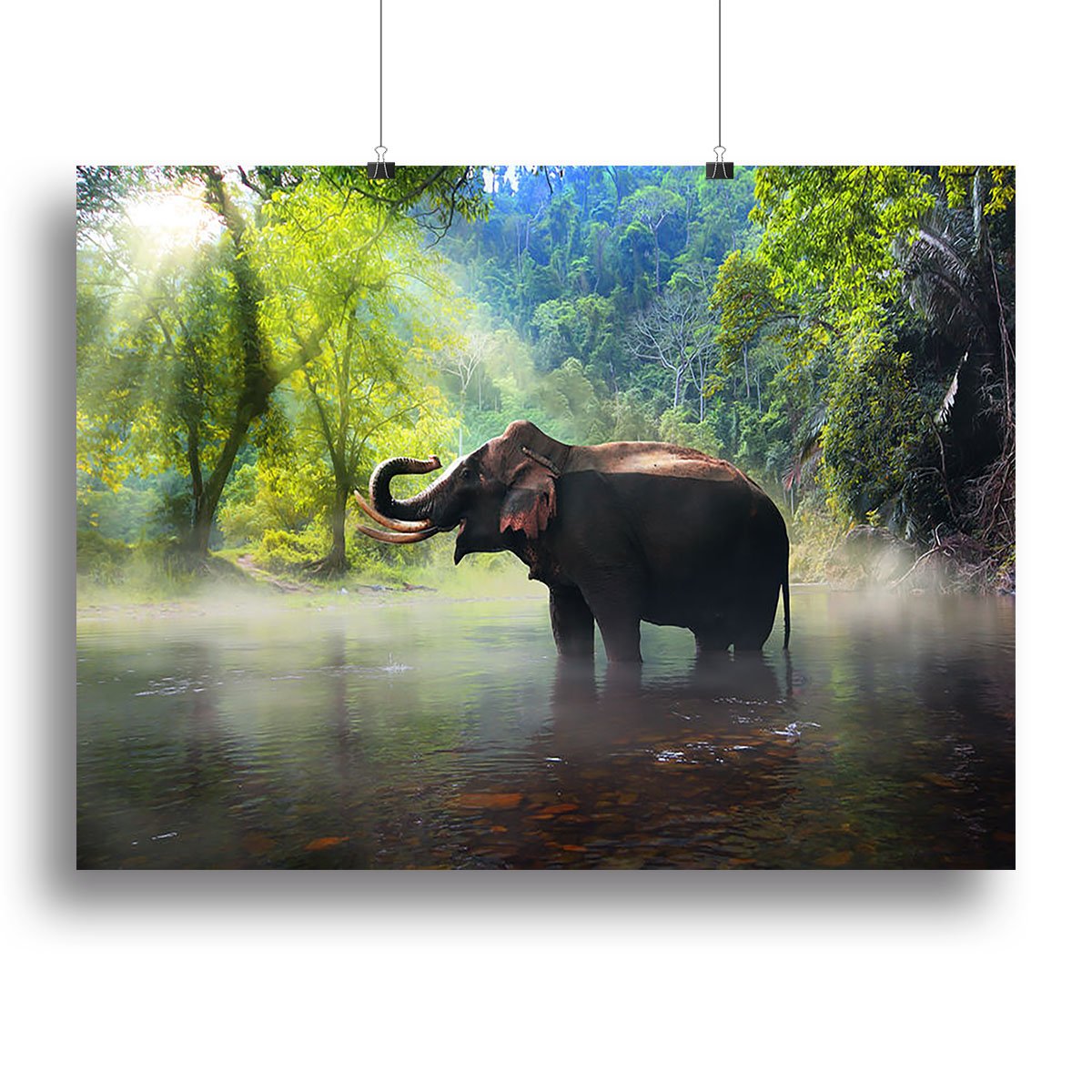 Wild elephant in the beautiful forest Canvas Print or Poster