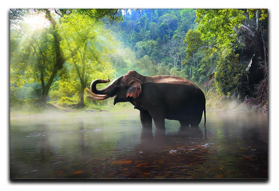 Wild elephant in the beautiful forest Canvas Print or Poster - Canvas Art Rocks - 1