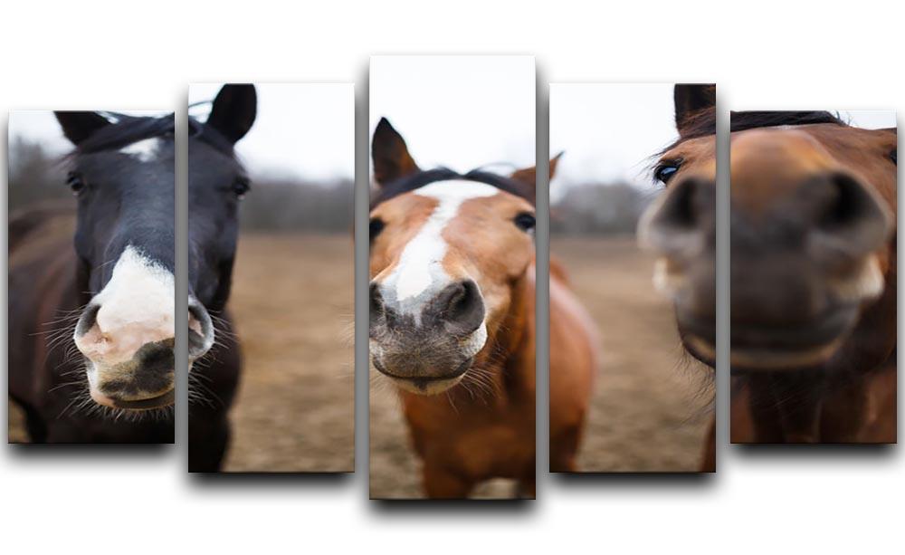 Wild horses on the meadow at spring time 5 Split Panel Canvas - Canvas Art Rocks - 1