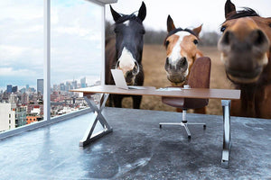 Wild horses on the meadow at spring time Wall Mural Wallpaper - Canvas Art Rocks - 3