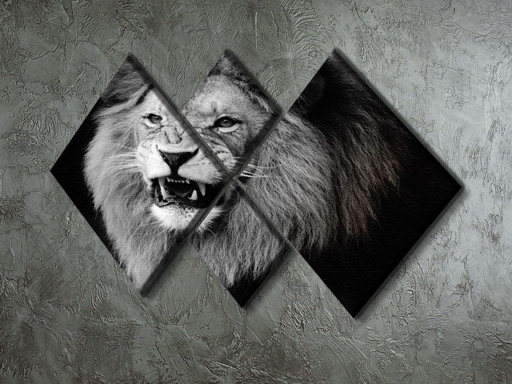 Wild lion portrait in black and white. 4 Square Multi Panel Canvas - Canvas Art Rocks - 2