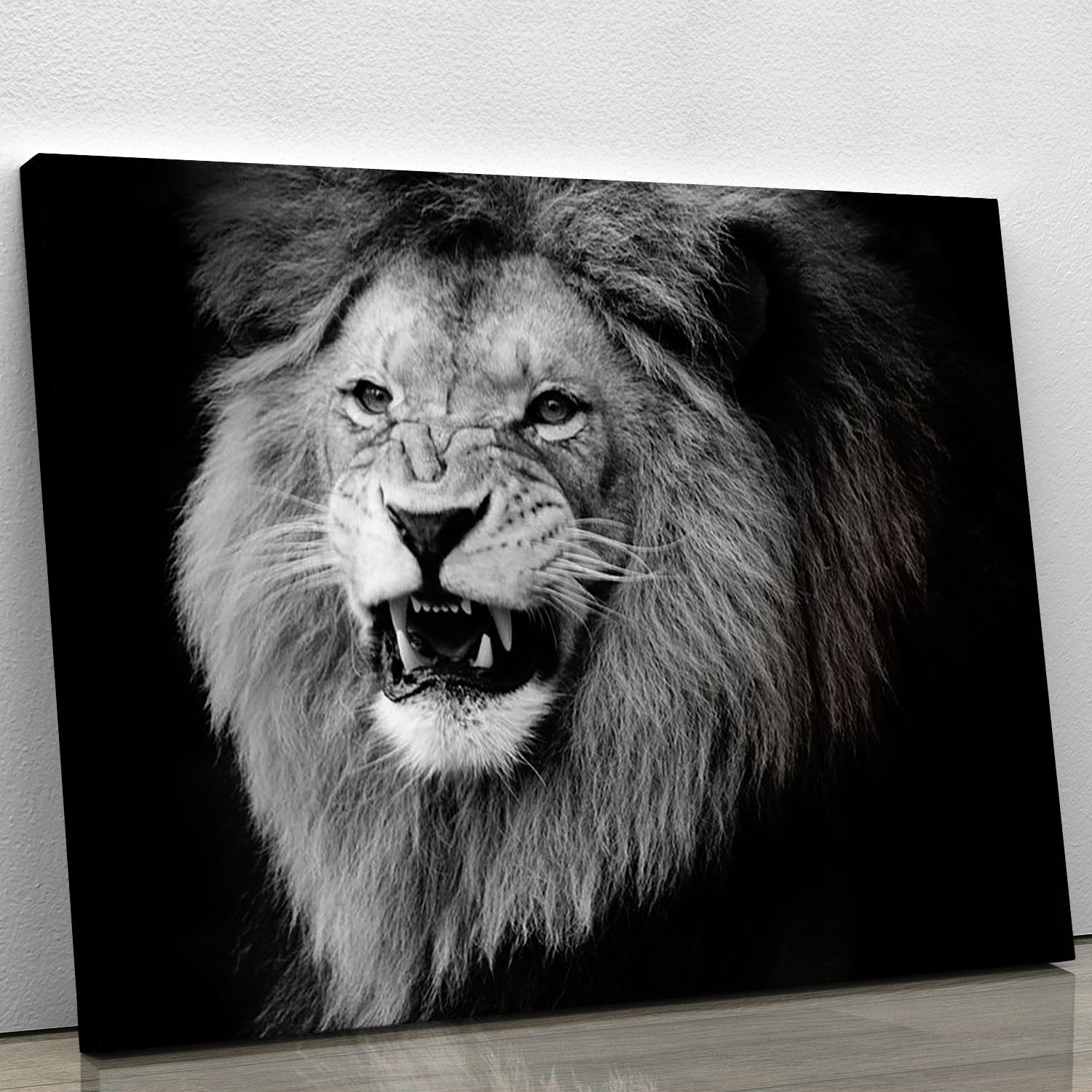 Wild lion portrait in black and white. Canvas Print or Poster