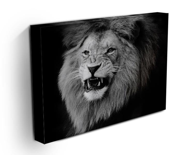 Wild lion portrait in black and white. Canvas Print or Poster - Canvas Art Rocks - 3