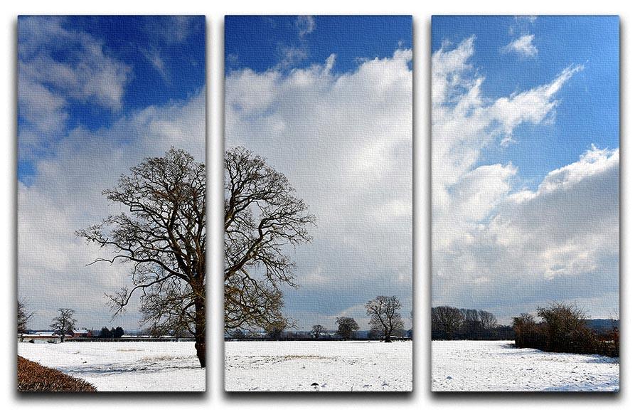 Winters day in wales 3 Split Panel Canvas Print - Canvas Art Rocks - 1