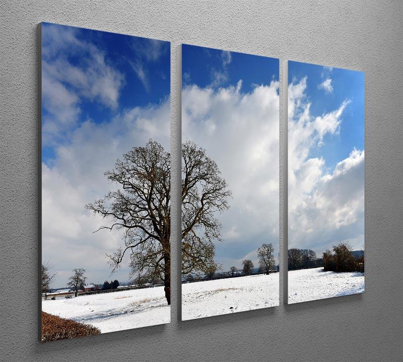 Winters day in wales 3 Split Panel Canvas Print - Canvas Art Rocks - 2