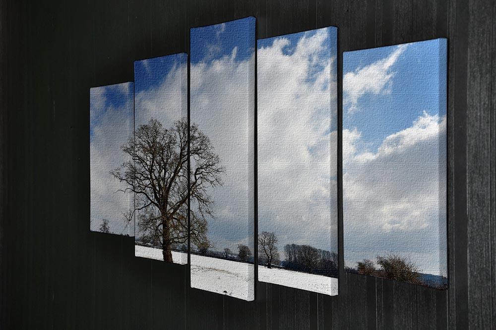 Winters day in wales 5 Split Panel Canvas - Canvas Art Rocks - 2