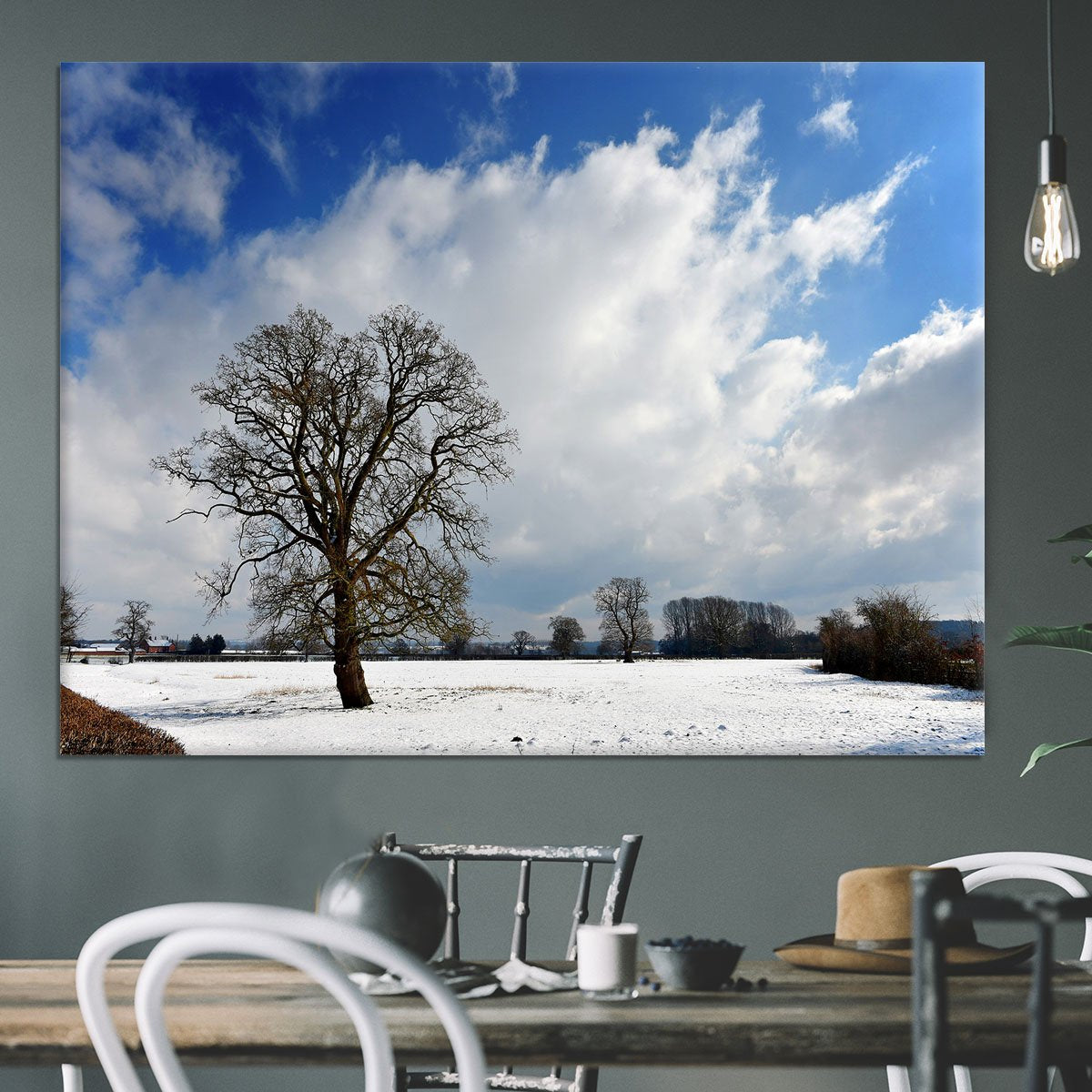 Winters day in wales Canvas Print or Poster
