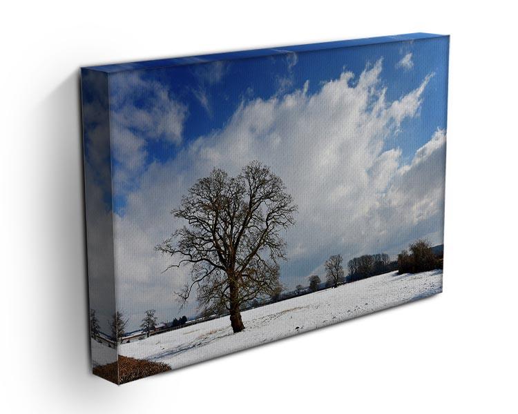 Winters day in wales Canvas Print or Poster - Canvas Art Rocks - 3