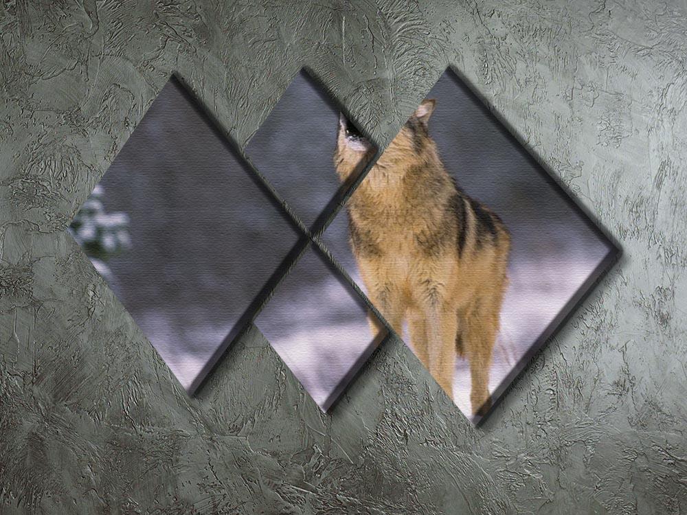Wolf Howling in White Snow 4 Square Multi Panel Canvas - Canvas Art Rocks - 2