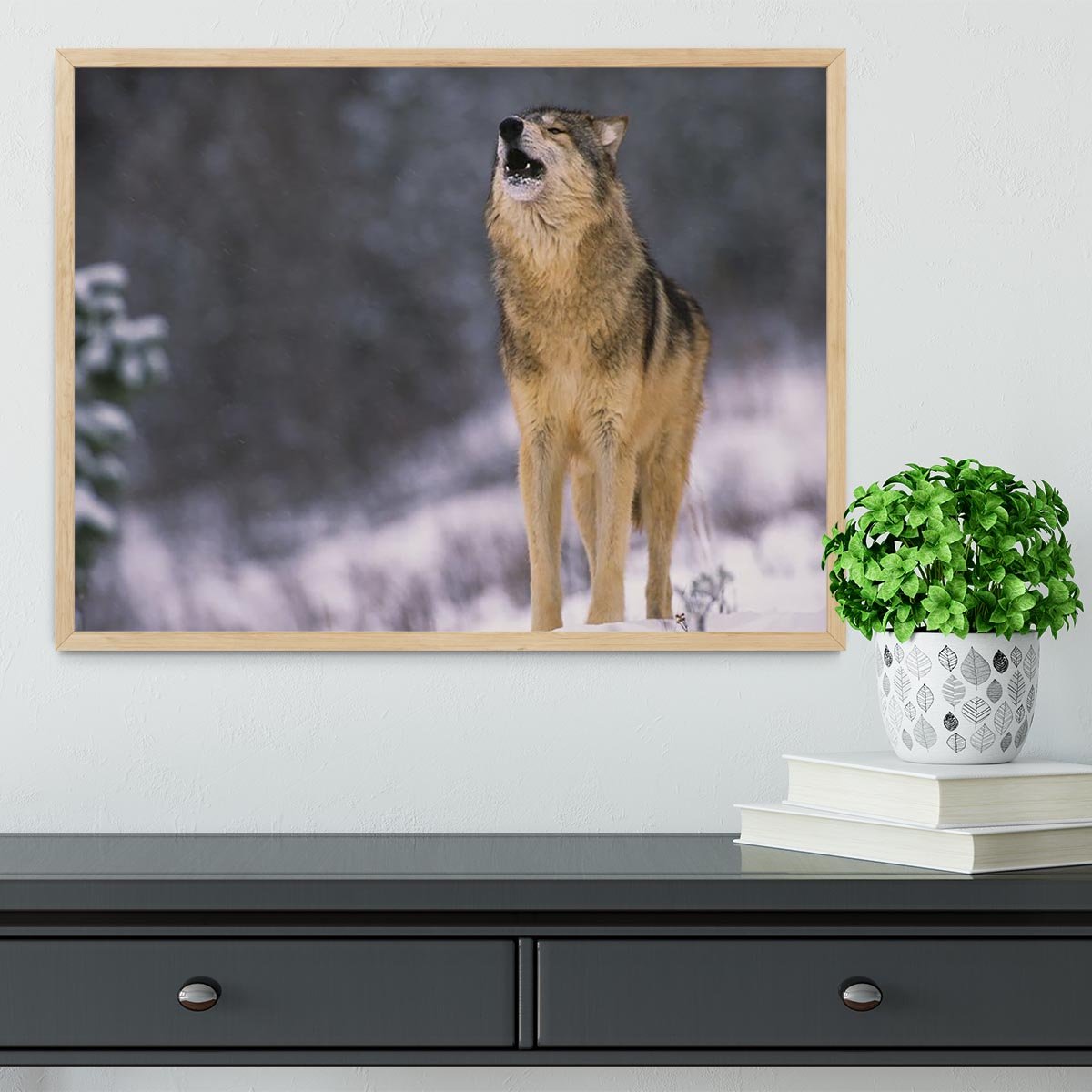 Wolf Howling in White Snow Framed Print - Canvas Art Rocks - 4