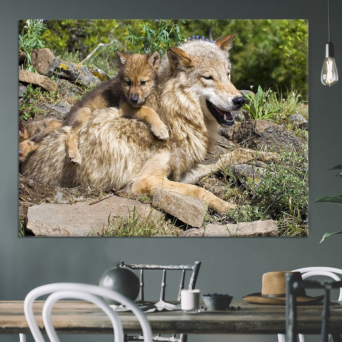 Wolf cubs and mother at den site Canvas Print or Poster