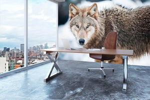 Wolf standing in the snow Wall Mural Wallpaper - Canvas Art Rocks - 3