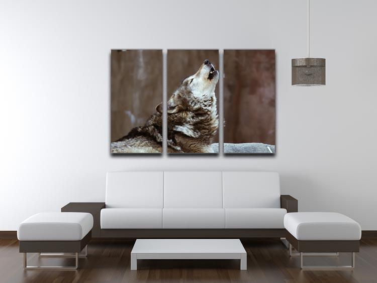 Wolves howl in Moscow Zoo 3 Split Panel Canvas Print - Canvas Art Rocks - 3