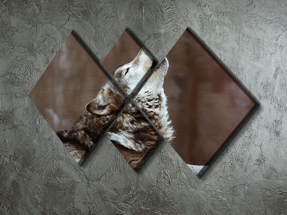 Wolves howl in Moscow Zoo 4 Square Multi Panel Canvas - Canvas Art Rocks - 2
