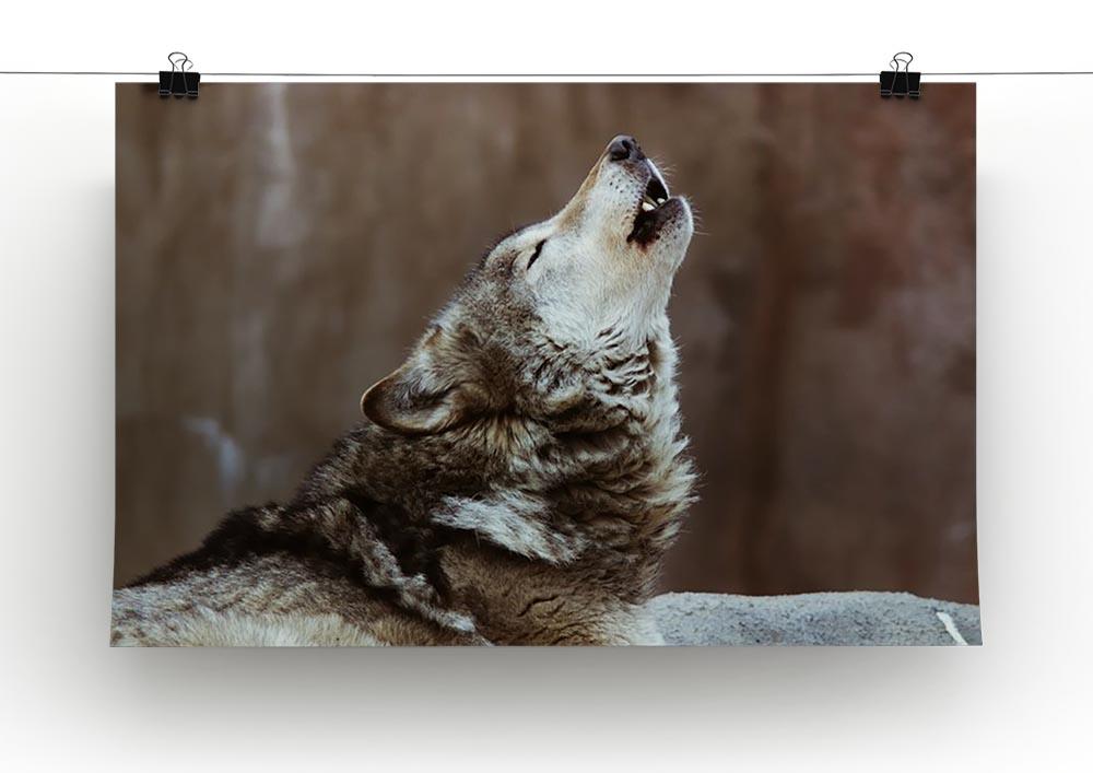 Wolves howl in Moscow Zoo Canvas Print or Poster - Canvas Art Rocks - 2