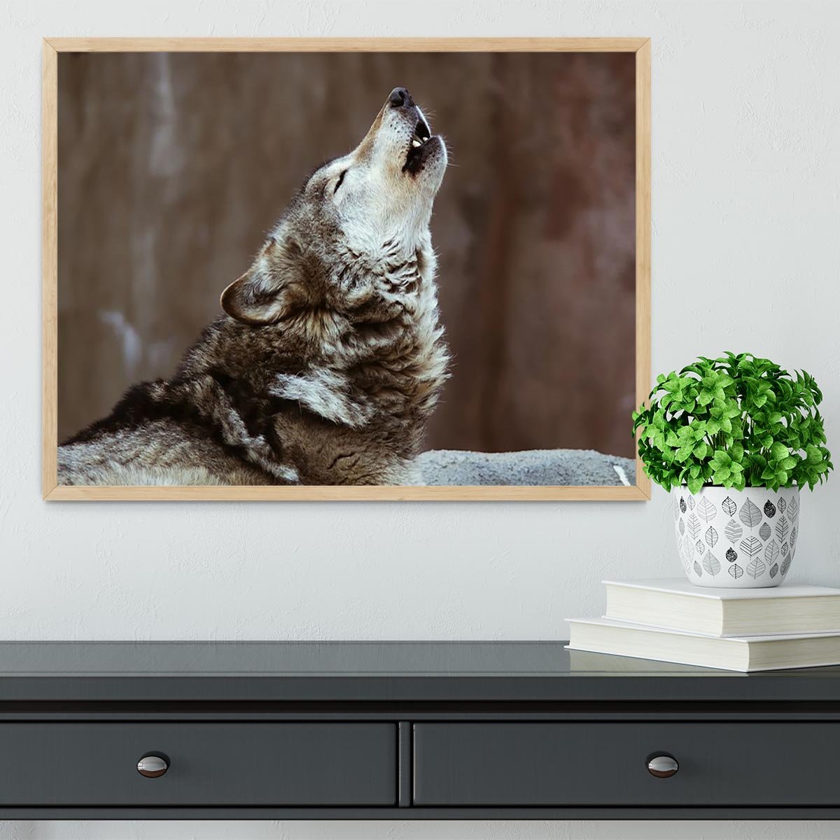 Wolves howl in Moscow Zoo Framed Print - Canvas Art Rocks - 4