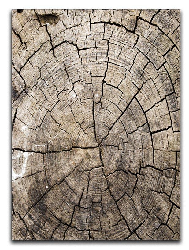 Wood Canvas Print or Poster - Canvas Art Rocks - 1