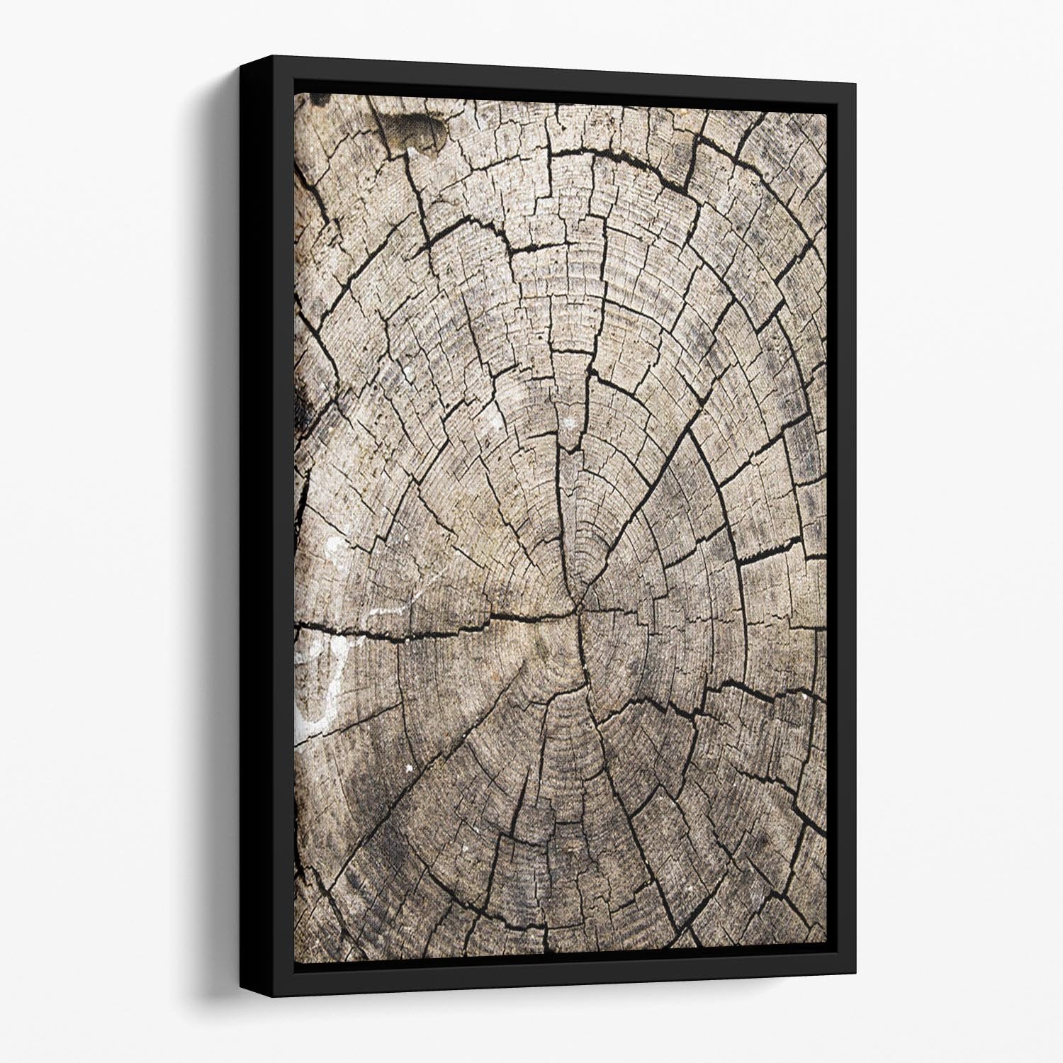 Wood Floating Framed Canvas - Canvas Art Rocks - 1