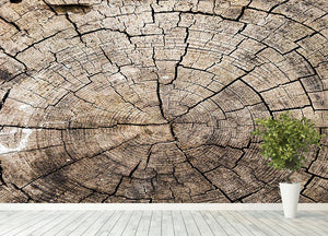 Wood Wall Mural Wallpaper - Canvas Art Rocks - 4