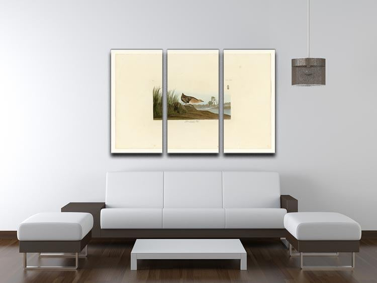 Yellow breasted Rail by Audubon 3 Split Panel Canvas Print - Canvas Art Rocks - 3