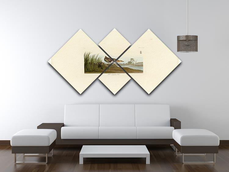Yellow breasted Rail by Audubon 4 Square Multi Panel Canvas - Canvas Art Rocks - 3