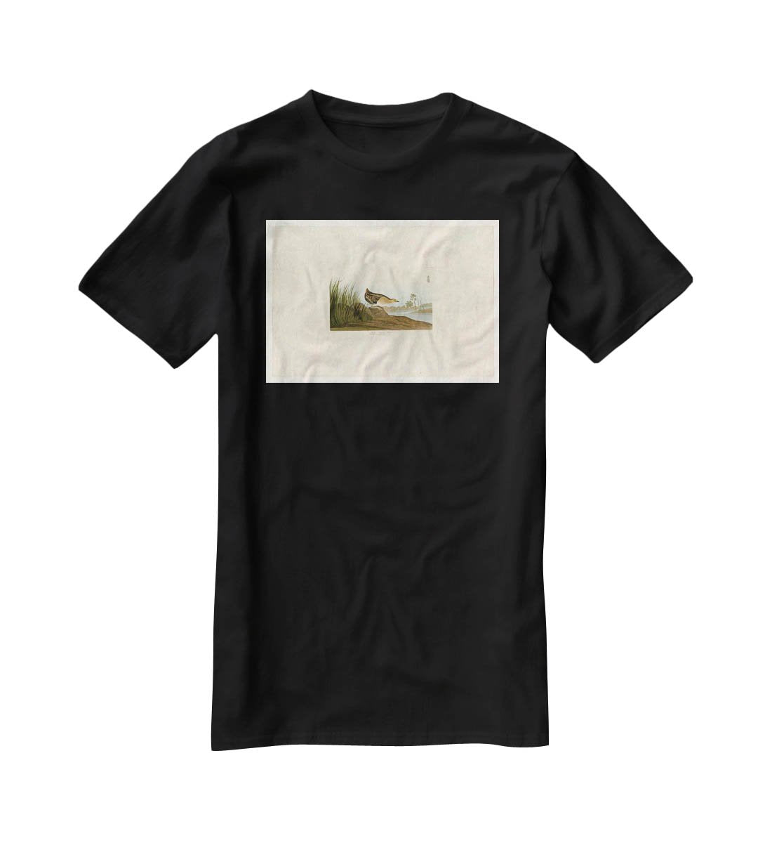 Yellow breasted Rail by Audubon T-Shirt - Canvas Art Rocks - 1