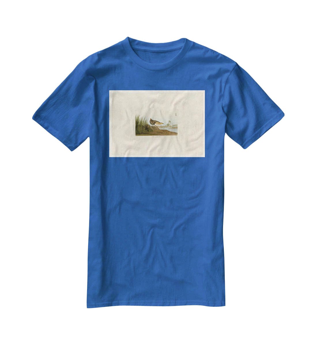 Yellow breasted Rail by Audubon T-Shirt - Canvas Art Rocks - 2