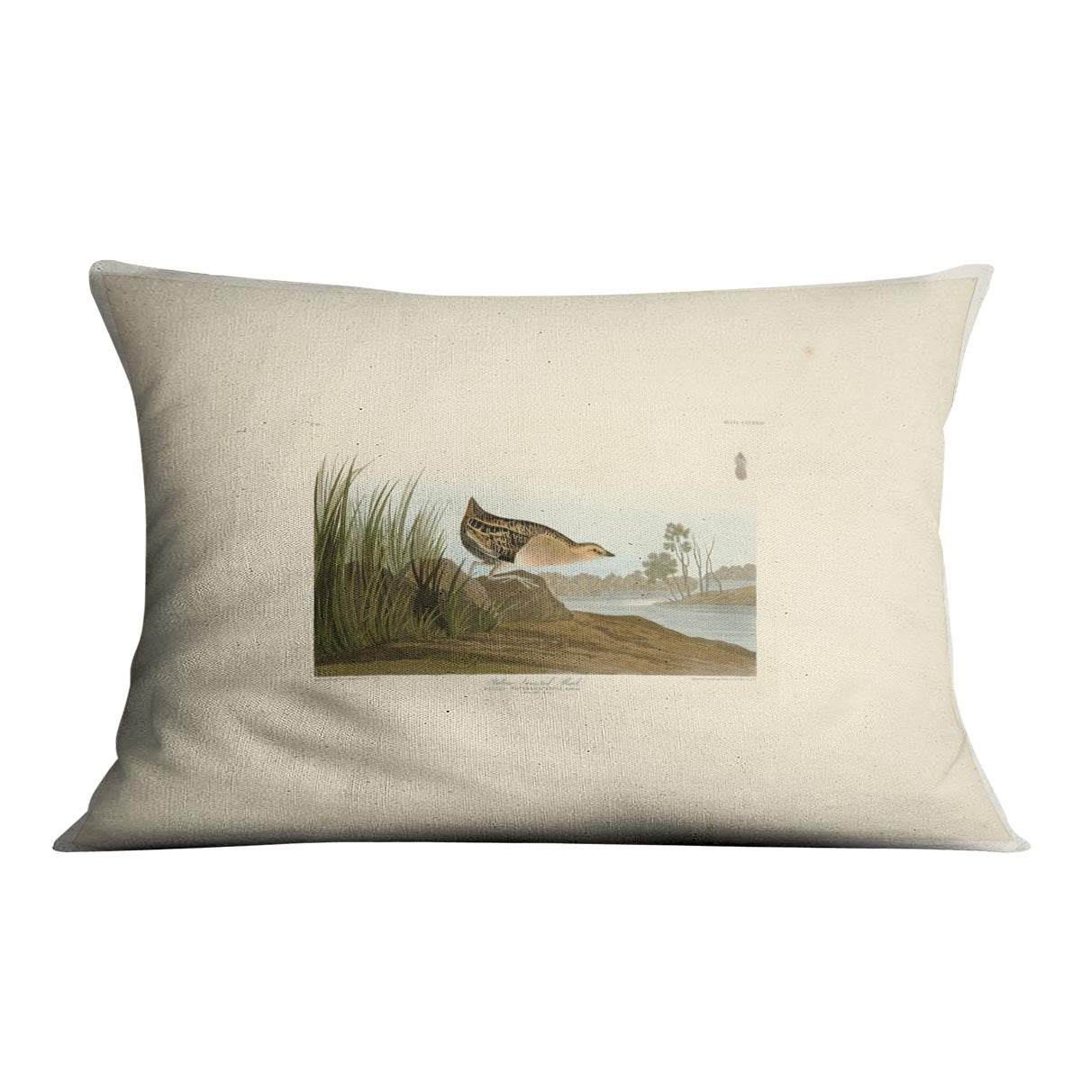 Yellow breasted Rail by Audubon Cushion