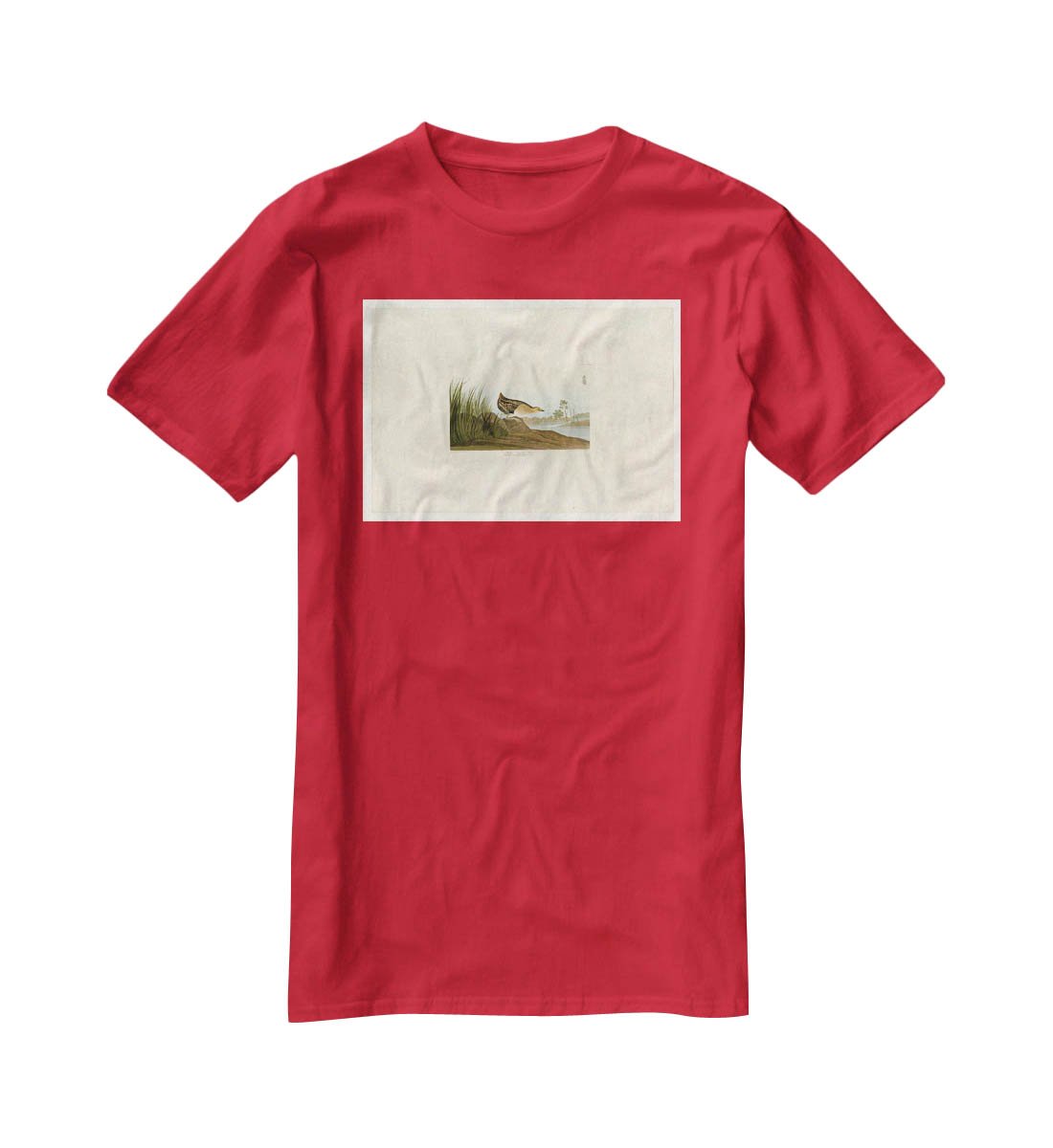 Yellow breasted Rail by Audubon T-Shirt - Canvas Art Rocks - 4