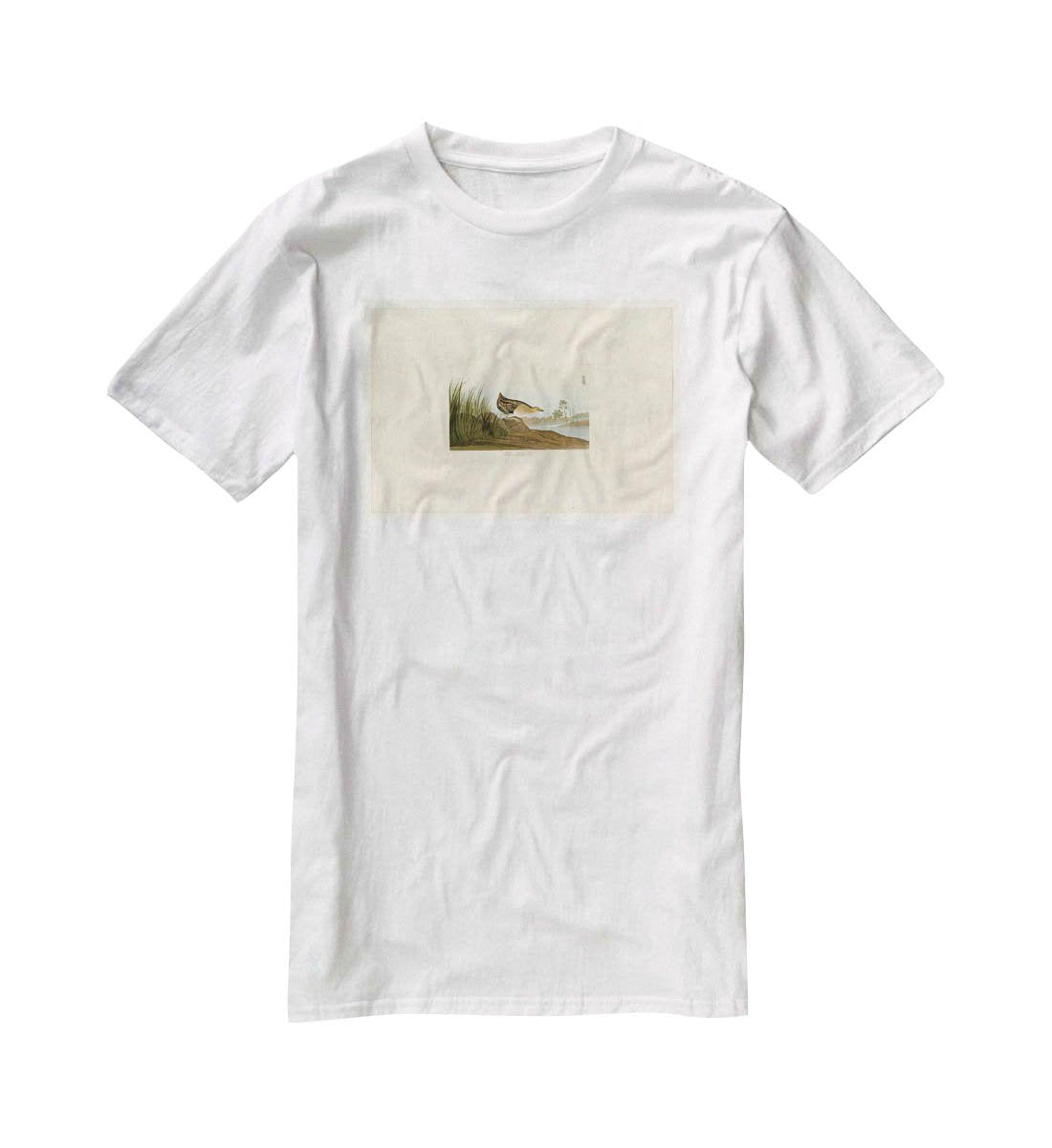 Yellow breasted Rail by Audubon T-Shirt - Canvas Art Rocks - 5