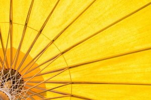 Yellow umbrella background Wall Mural Wallpaper - Canvas Art Rocks - 1