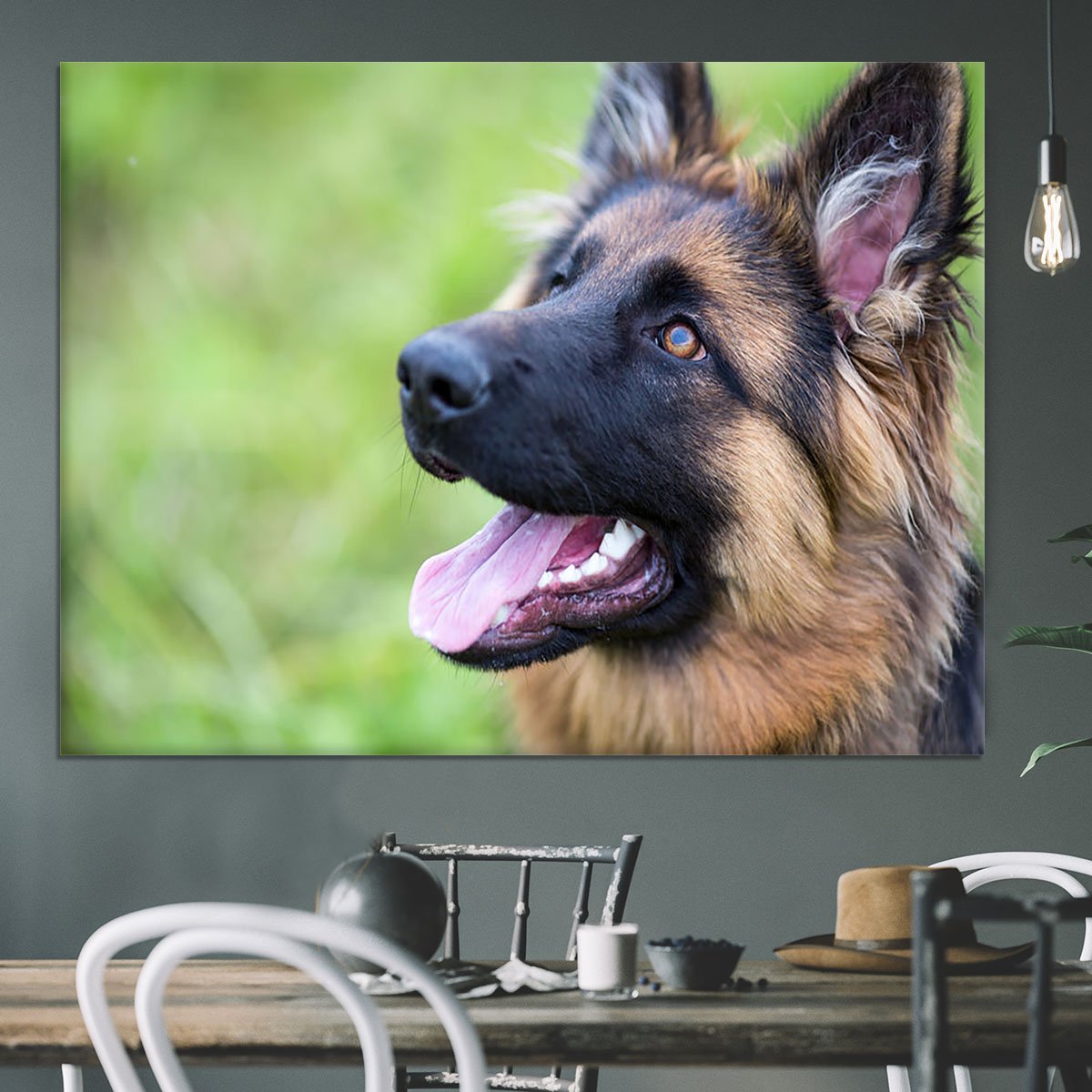 Young dog german shepherd on the grass in the park Canvas Print or Poster